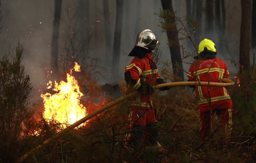 Incendio gigante en Gironda, la UNESCO honra los planes de Francia y Seixas Incendio gigante en Gironda, la UNESCO honra los planes de Francia y Seixas